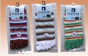 ������ָ��