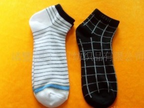 ȫ������