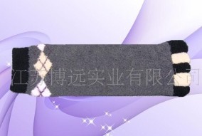 ������ָ��