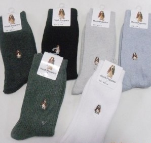 ȫ������