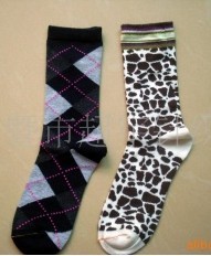 ȫ����Ͳ��