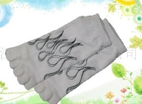 ������ָ��