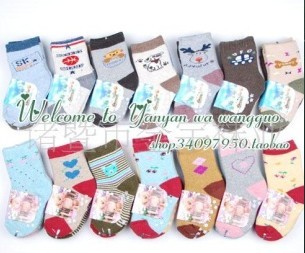 ȫëȦ ���� ������