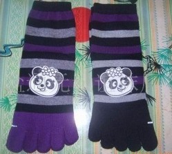 ȫ����ָ��