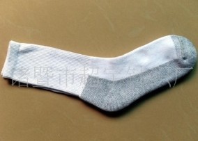 ��ʿ��Ͳ��