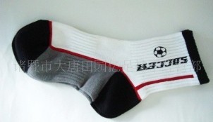 ����ȫ���˶������