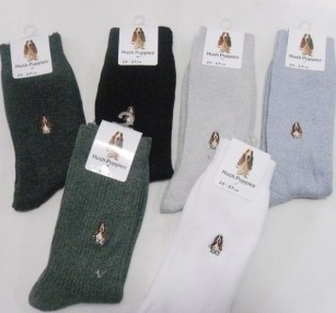 ȫ������