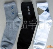 ��ʽ������