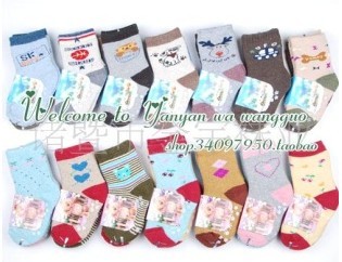 ȫëȦ ���� ������