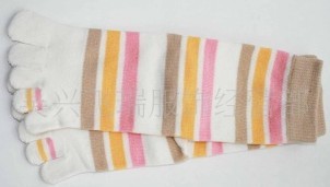 ������ָ��