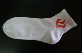 ��ʿ�˶���