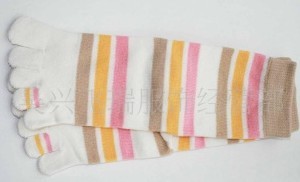 ������ָ��