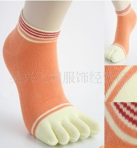 ��������ֺ��