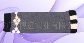 ������ָ��