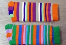 ������ָ��