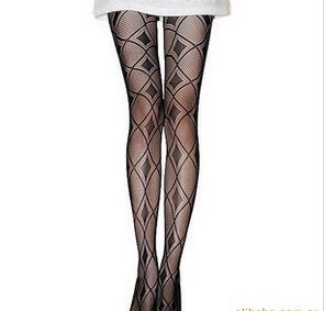 ��������/������