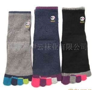 ��Ӧ��������/��ָ����/������