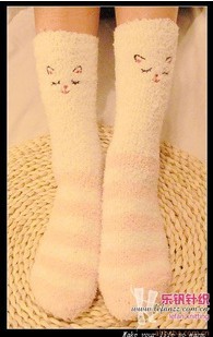 �ذ����� ���������