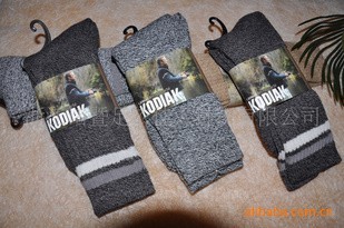 ���� �Ӻ�ë��������