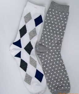 �������� ������������ ȫ����������