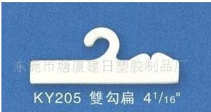 ˫