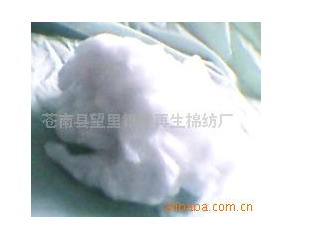 �޻�,��֯����