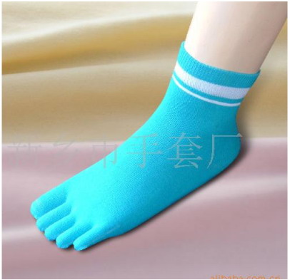 ָ-޶ͲŮ