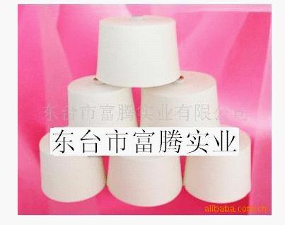 ���ִ���ɴ