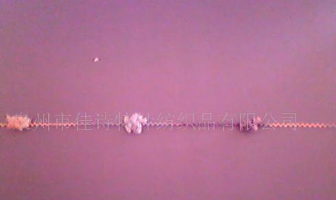 ������ëɴ