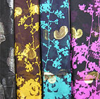 ����˿��  ����˿������ �������