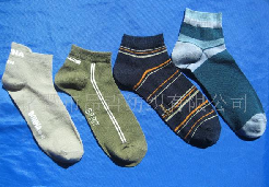 ȫ���ж���