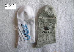 ȫ���˶���