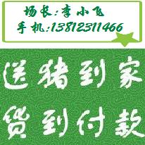 ���շɴ�������ֳ���ṩ���°��չ�����Ϣ��