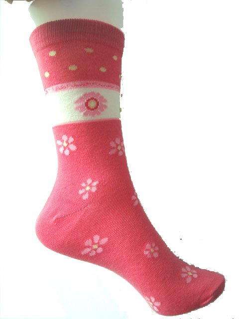 �������ӣ��Ứ���ӣ������ӣ�Ůʿ���ӣ���