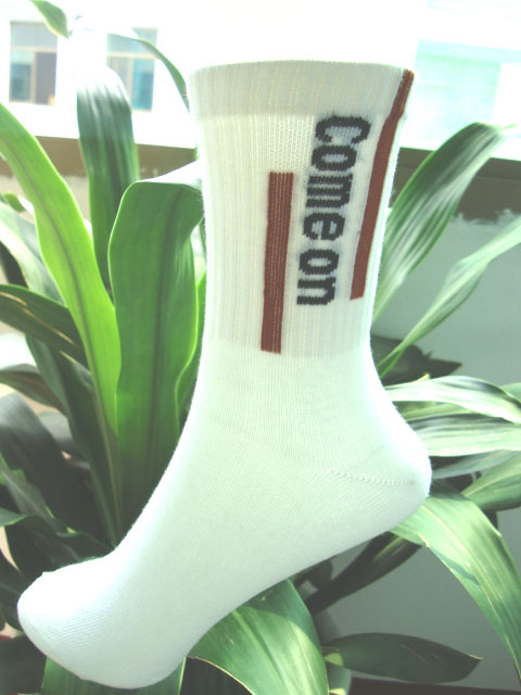 ���˶����ӣ�ëȦ���ӣ���ʿ���ӣ���������