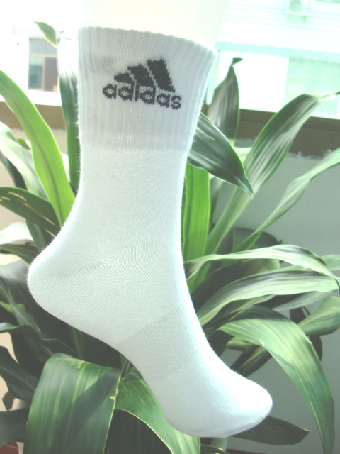 �˶����ӣ��Ứ���ӣ���ʿ���ӣ��������ӣ�